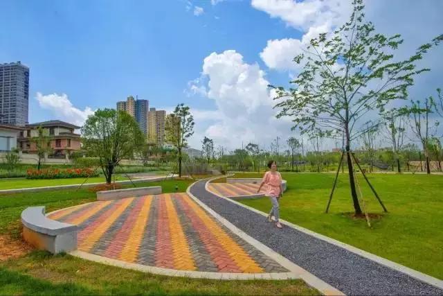 天兴洲最新消息更新,最新动态概览