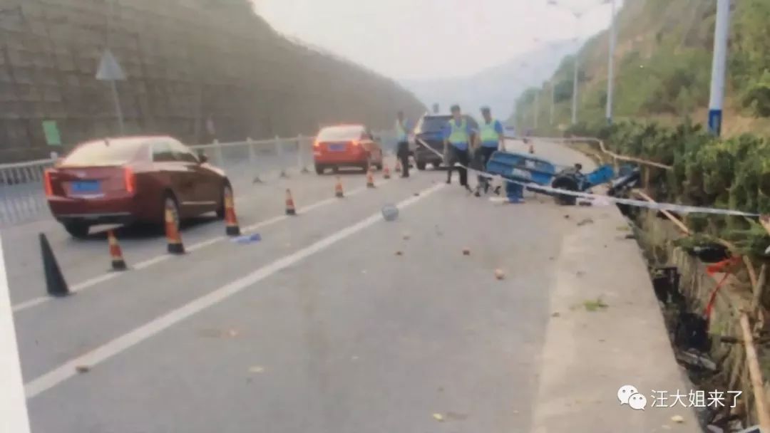 隐匿小巷的秘密,最新交通肇事罪案例与特色小店的奇遇揭秘