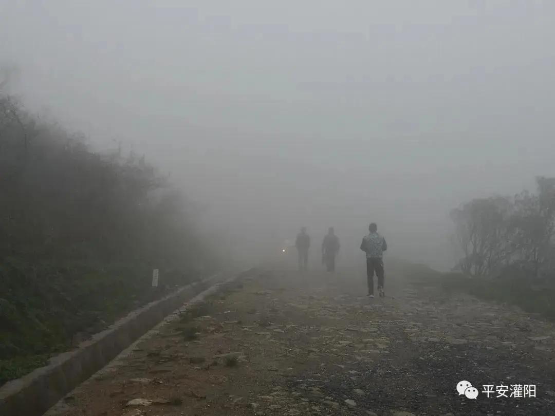 桂林最新大四驱农用车,力量变革与成就感的源泉