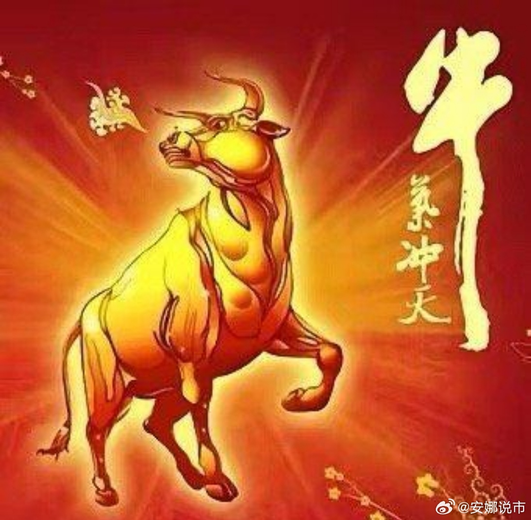 自信与成就的力量之源