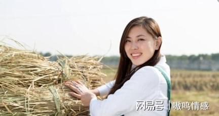 乡村乱情完整版最新章节,乡土人情纷繁故事揭秘